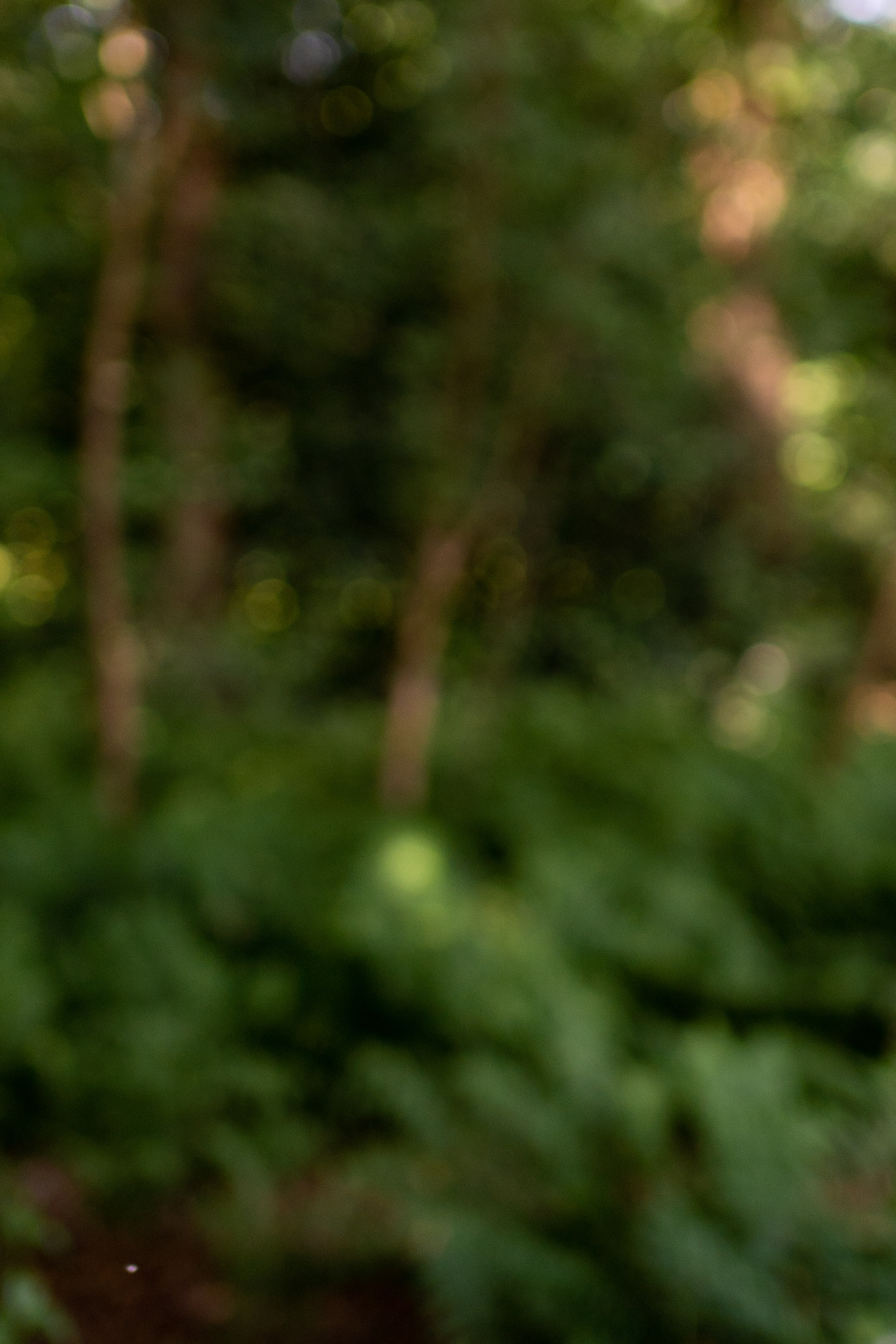 Stagiair van Kinderopvang de Kruiwagen Ilony