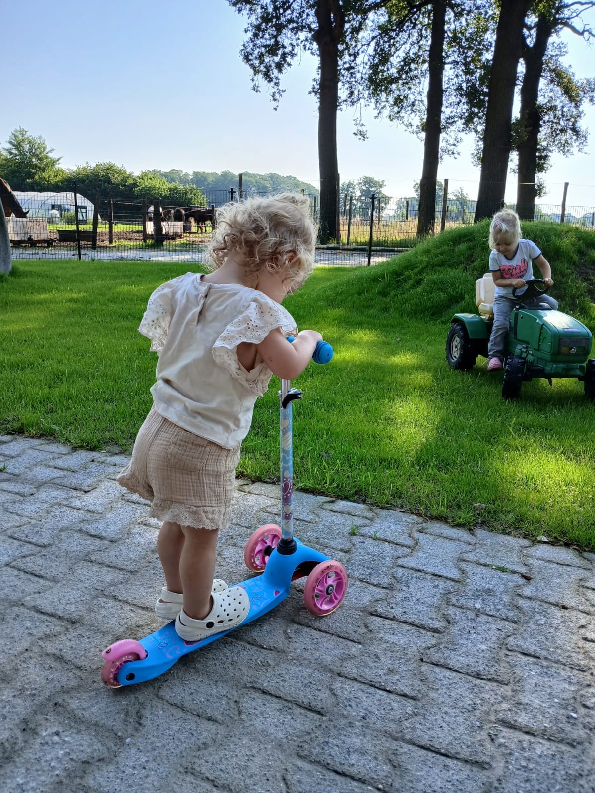 Kind speelt op een stap en een ander kind speelt op een speelgoed trekker op het terrein van Kinderopvang de Kruiwagen